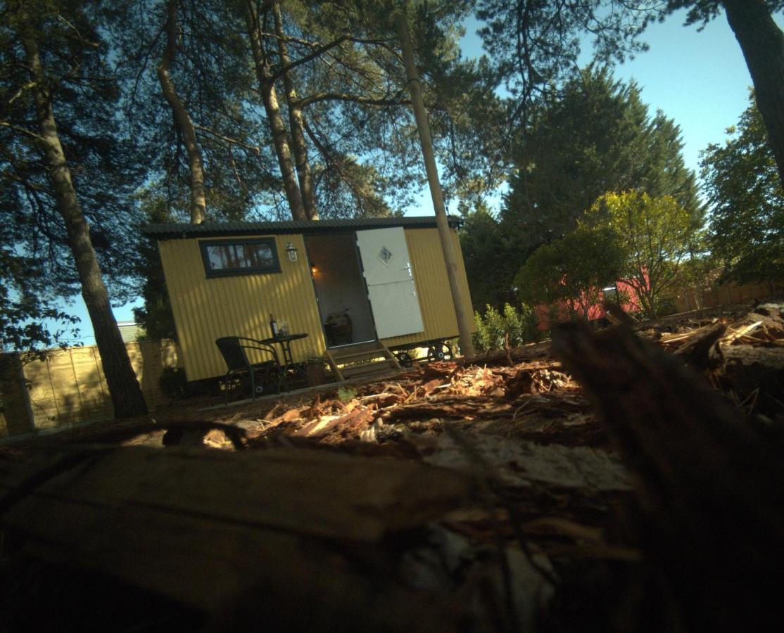 רינגווד Forest Heath Shepherd'S Huts מראה חיצוני תמונה