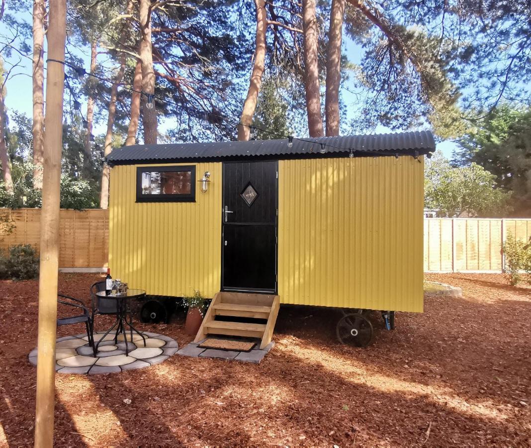 רינגווד Forest Heath Shepherd'S Huts מראה חיצוני תמונה