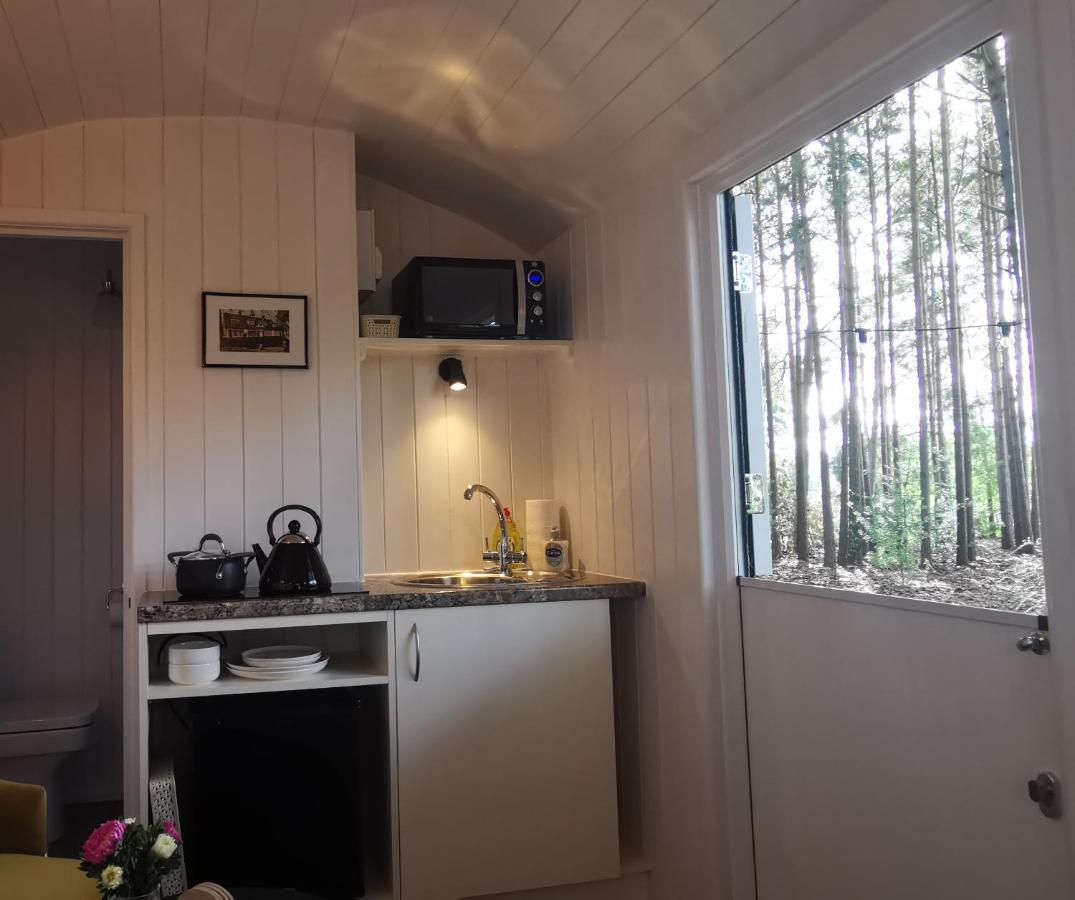 רינגווד Forest Heath Shepherd'S Huts מראה חיצוני תמונה