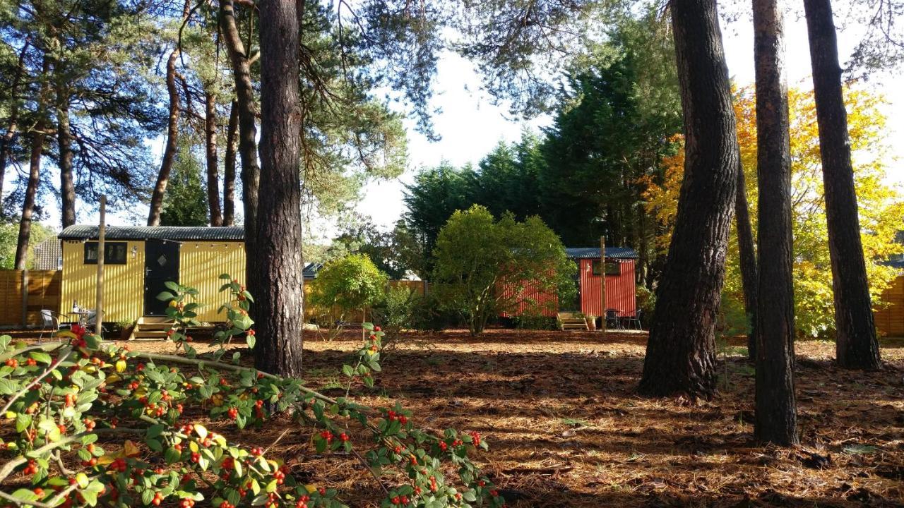 רינגווד Forest Heath Shepherd'S Huts מראה חיצוני תמונה