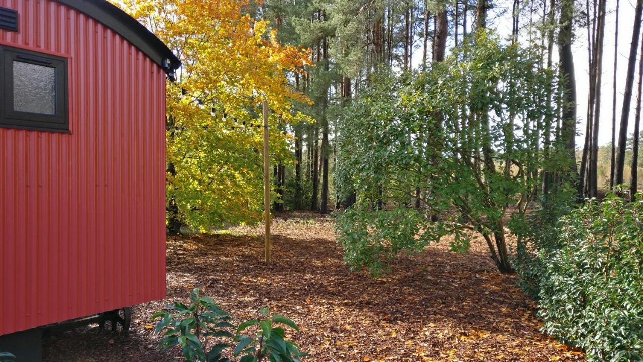רינגווד Forest Heath Shepherd'S Huts מראה חיצוני תמונה