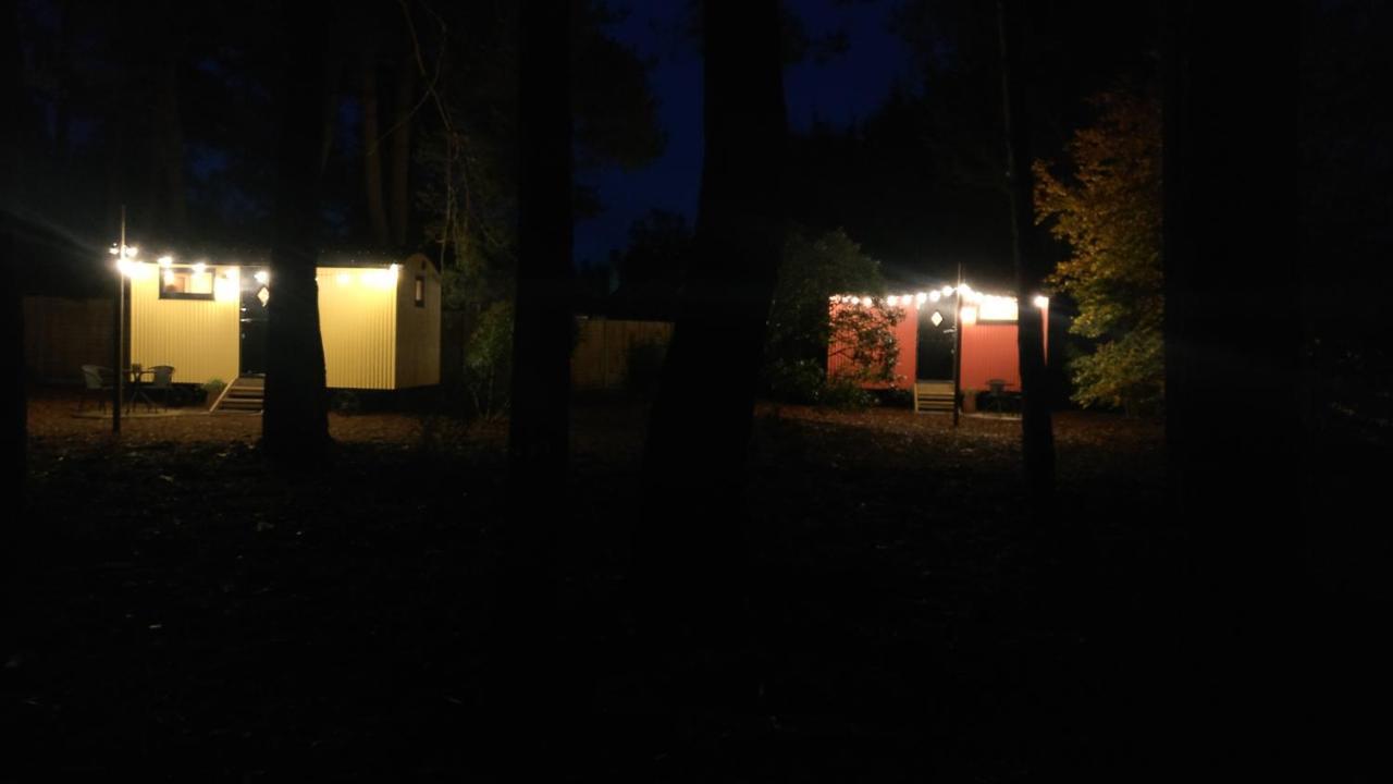 רינגווד Forest Heath Shepherd'S Huts מראה חיצוני תמונה